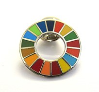 Un sdg pin